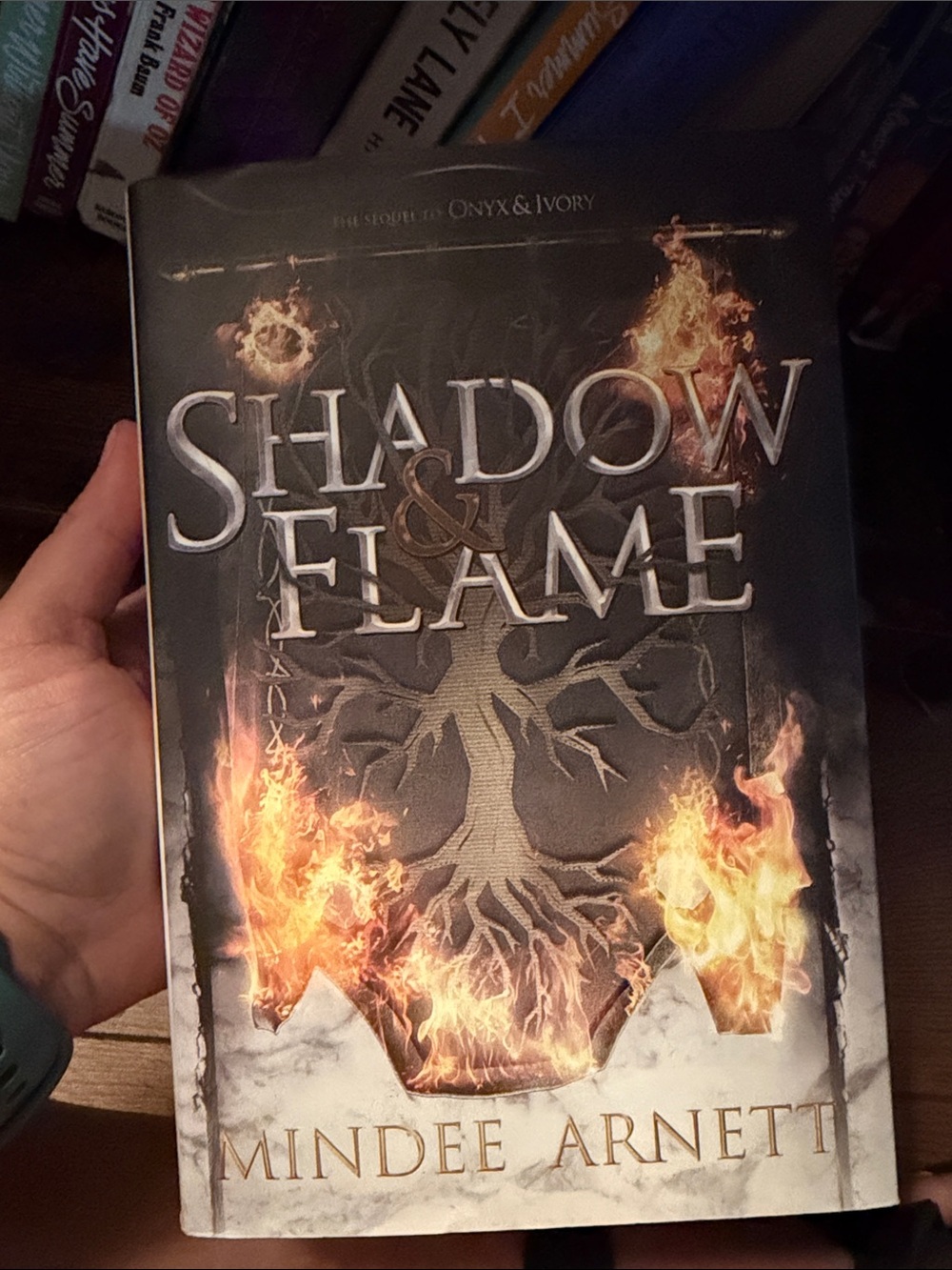 Shadow & Flame by Mindee Arnett - Dark Cover with Fiery Accents
